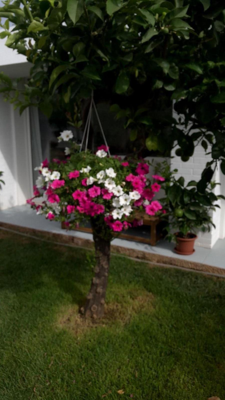 Villa Ribaudo Relax Mondello Exterior photo